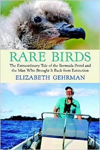 Rare Birds, De Elizabeth Gehrman. Editorial Beacon Press, Tapa Blanda En Inglés