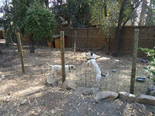 Excelente Y Amplia Casa - Antupiren
