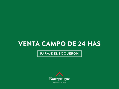 Campo Venta En Paraje El Boquerón, A Mts De Ruta 88