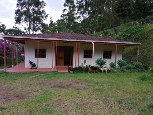 Venta Finca En Salento Quindío