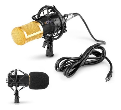 Microfono Profesional Neewer Nw-800 Con Phantom Power 48v
