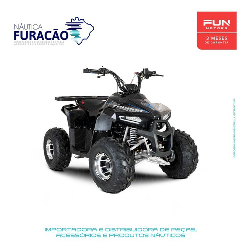 Imagem 4 de 14 de Quadriciclo Atv Utv Ssv Fun Motors Taurus 110