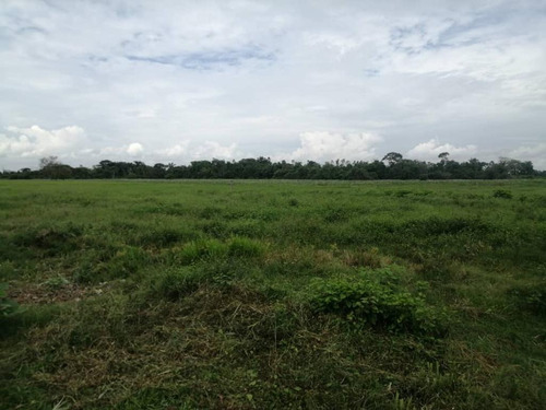 Imagen 16 de 17 de De Oportunidad Vendo Finca En El Cantón 283 Hectáreas Ah