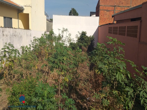 Imagem 3 de 4 de Terreno - Te00147 - 34155439