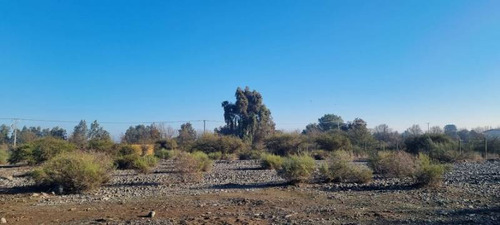 Terreno 5.000 Metros Isla De Maipo