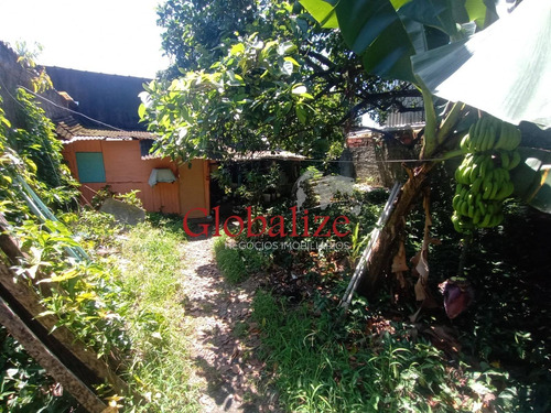 Imagem 6 de 16 de Terreno - Te00005 - 70482597
