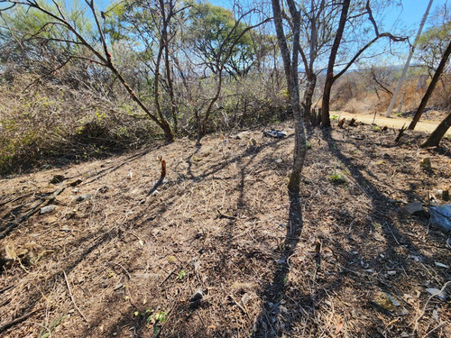 Venta Lote Iris I Muy Plano Y De Bonita Vista Además De Doble Frente En Doble Calle Con Proyecto Incluído En Fracc Rancho San Diego Ixtapan De La Sal Edomex
