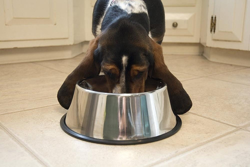 Comedero Alto Perro Acero Inox. Especial Cocker 25cm Color Plateado