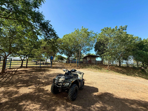 Finca Totalmente Productiva