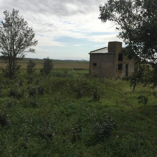 Imagen 9 de 15 de Campo - Balcarce