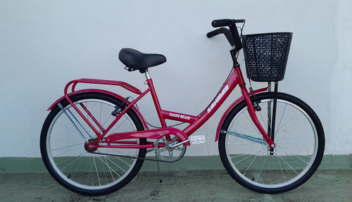 Bicicleta Rodado 24 Full Ruedas Anchas Con Portaequipajes