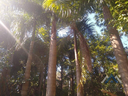Chácara Com 1 Dormitório À Venda, 8700 M² Por R$ 220.000,00 - Água Do Pari - Jataizinho/pr - Ch0052