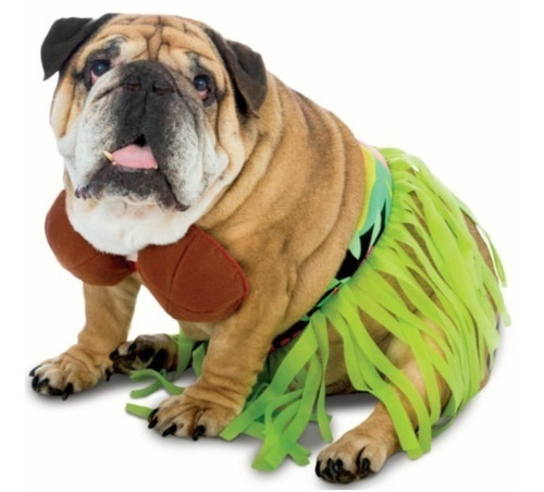 Traje Perro Hula Hula Halloween Nuevo 100% Xtreme P