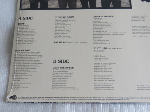 Imagem 3 de 3 de Acid Mammoth Under Acid Hoof Lp Vinil Caravan Dozer Nebula