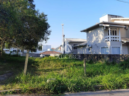 Imagem 5 de 11 de Excelente Terreno Em Sto. Antônio De Lisboa Florianópolis Sc - Te0150