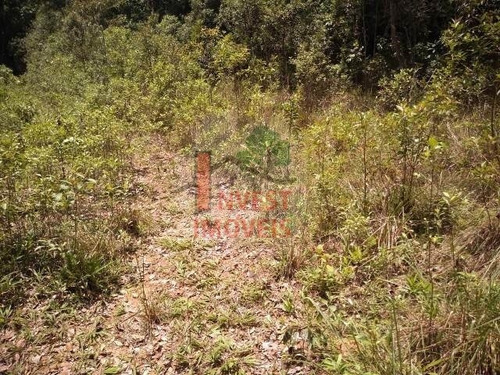 Imagem 5 de 7 de Terreno - Ref: 2985 - V-2985