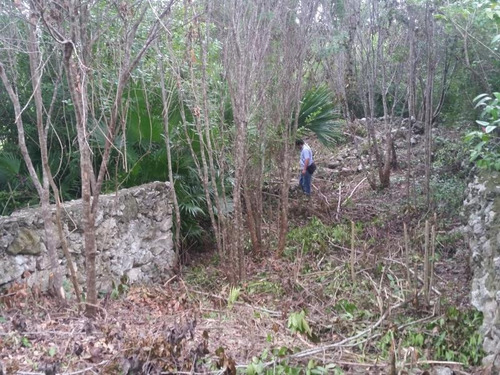 Imagen 12 de 12 de Terreno En Venta Cuna Maya Smza. 205