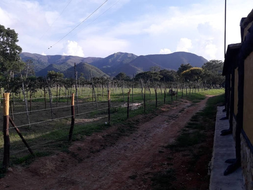 Imagen 3 de 30 de Finca En Bejuma Reyes Arriba