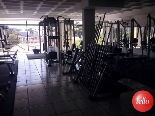 Comercial/industrial - Ref: 37073
