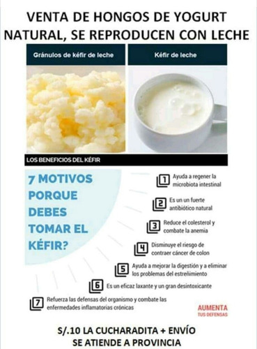 Yogurt Vivo Kefir Se Reproducen Con Leche