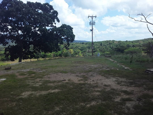 Imagen 15 de 30 de Se Vende Finca Agropecuaria De 300 Hectareas En Guarico Altagracia De Orituco Att-120