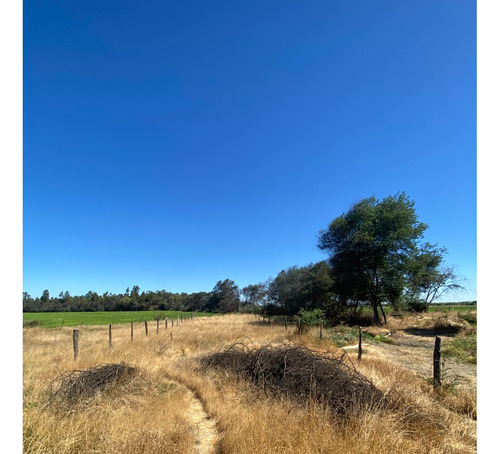 Buscas Un Sitio En Ñiquen , Región De Ñuble , Aquí Esta ¡¡¡