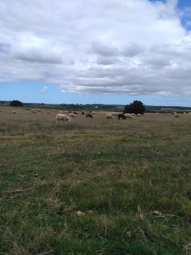 Oportunidad De Inversión!! Campo En Garzon Con Aguada