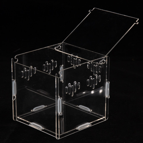 Ke Woow Nano Terrario Acrilico 11 X 11x 11 Cm 1.1 L Criadero