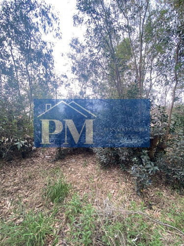 Amplio Terreno En Venta, Tapalqué