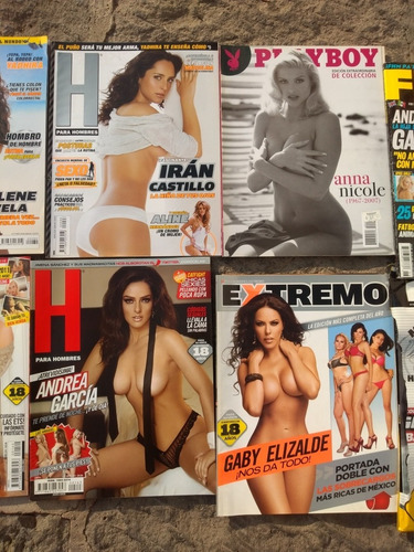 Playboy Lote 10 Revistas De Colección Envío Gratis Playboy (Usado)