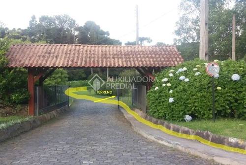Imagem 3 de 9 de Terreno - Centro - Ref: 292376 - V-292376