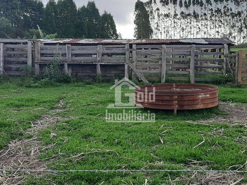 Sitio Com 6,5 Alqueires Na Região De Tatui-sp Com 3 Tanques Para Criação De Peixe, Criação De Galinha Caipira, Excelente Pasto Com 30 Cabeças De Gado - Si0069