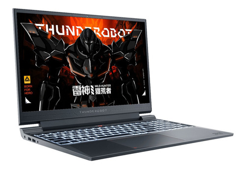  Netbook gamer  Thunderobot 911X gris oscura 15.6", Intel Core i5 13500H  16GB de RAM 512GB SSD, Nvidia GeForce RTX 4060 165 Hz 2560x1440px Windows 11 Pro