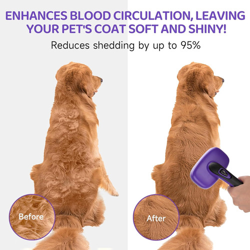 Kit De Cepillos Para Perros: Juego De Aseo De 3 Piezas Con C