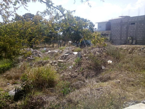 Imagen 2 de 6 de Terreno En Venta El Jobo