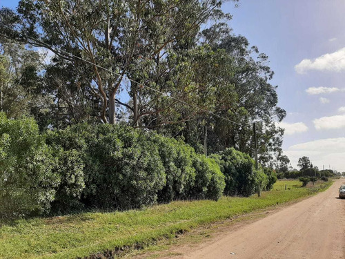 Excelente Lote En Venta De 1875 M² - Miramar Pcia De Buenos
