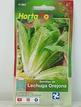 Comprar 1 Sobre De Semillas De Lechuga Orejona