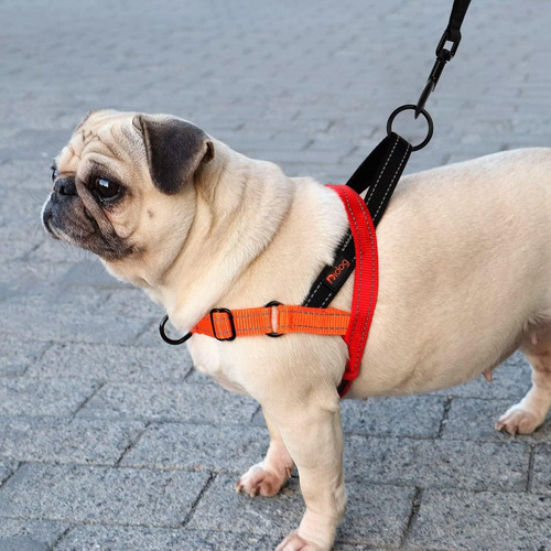 Didog Arnés Para Perro Sin Tirones Con Asa Acolchada Suave,