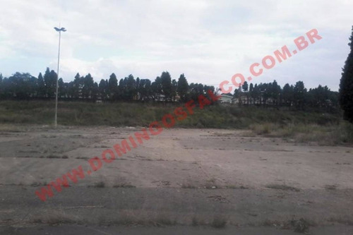 Venda - Área - Centro - Limeira - Sp - D0105