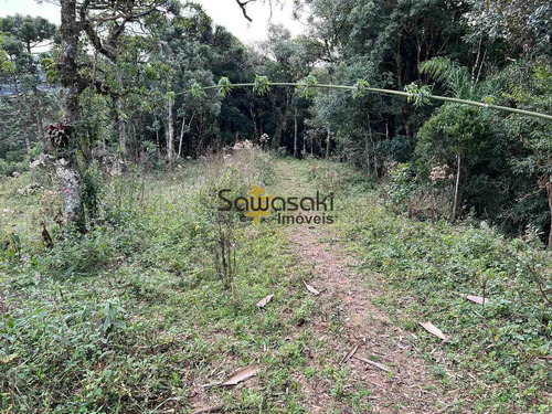 Imagem 7 de 9 de Chácara À Venda No Bairro Colônia Murici - São José Dos Pinhais/pr - 5864