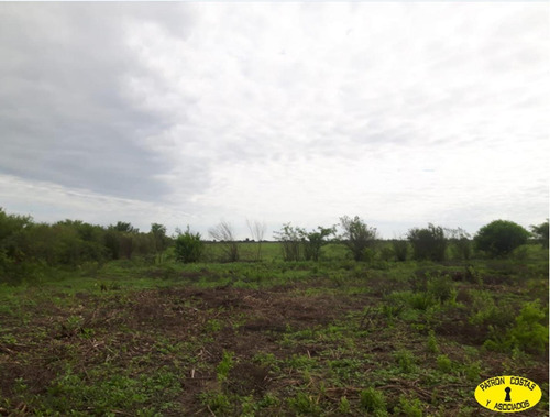Imagen 11 de 14 de 2404ga- Excelente Campo Mixto, Riego Permanente Para 250 Ha