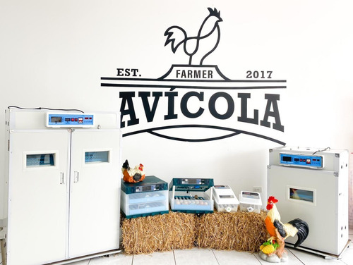 Imagen 4 de 5 de Incubadora De Pollos 64 Huevos Automática Expertos Rodillos