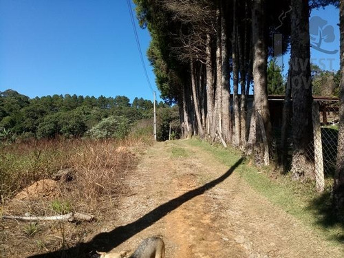 Imagem 3 de 15 de Cod 3550 - Excelente Terreno Com 1.200 M² - 3550