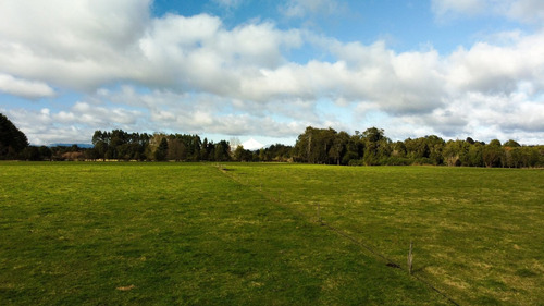 Vende Parcelas En Puyehue, Región De Los Lagos, Chile