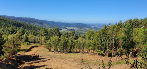 Parcela 5000 M2 En Potrero Alto, Valdivia.