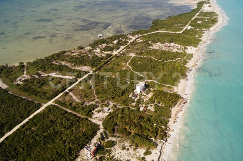 Imagen 10 de 22 de Terreno Con Hermosa Playa Para Desarrolladores En Isla Blanca Cancún C2509