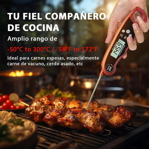 Forno Com Termômetro Digital De Carne Dual Probe Kitchen