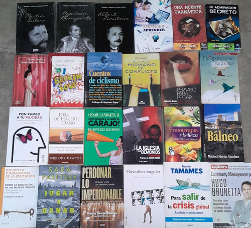 Lote X 24 Libros Usados - Surtidos  