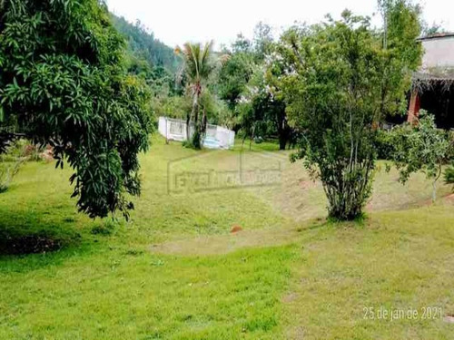 Imagem 5 de 18 de Chacara - Ch00149 - 69900794