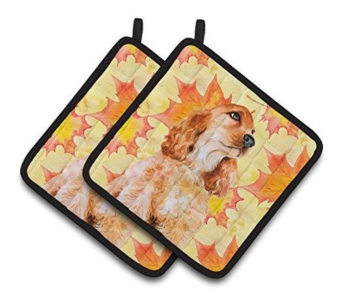 Carolines Treasures Bb9967pthd Cocker Spaniel, Maceta Decora